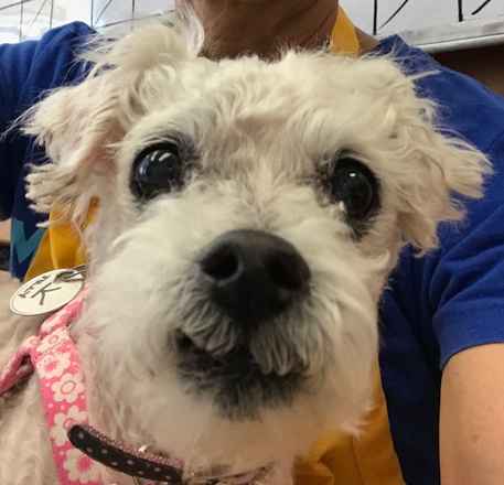 Tilly