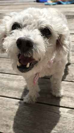 Tilly