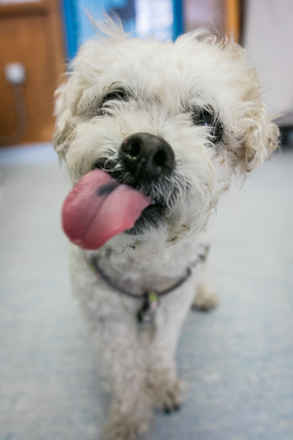 Tilly