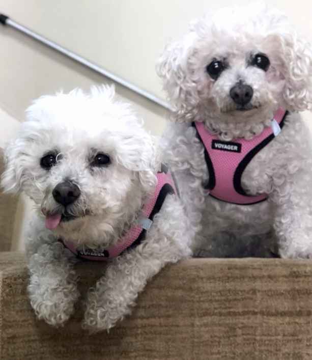 Pandora & Sarah