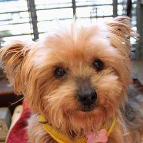 Gretta