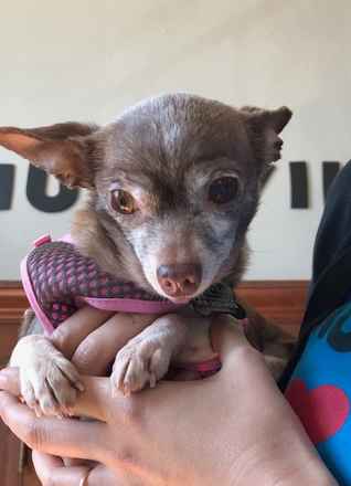 Chi Chi Marie