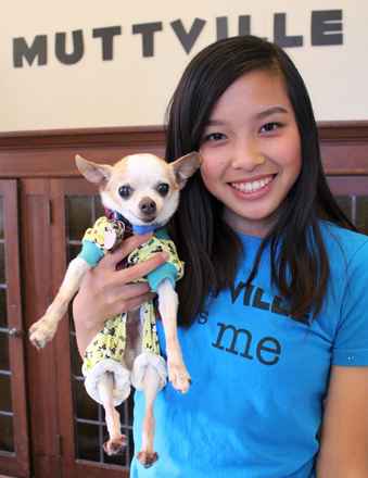 Stich