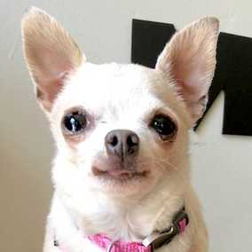 Miss Peanut