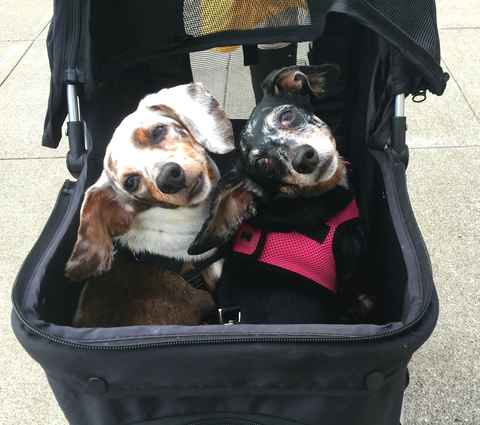 Kit & Kaboodle
