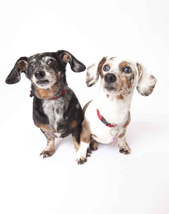 Kit & Kaboodle