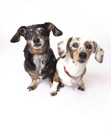 Kit & Kaboodle