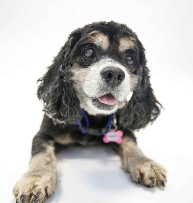 Carmelita