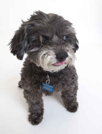 Pixley