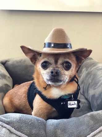 Howdy