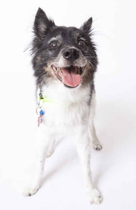 Lulu Belle
