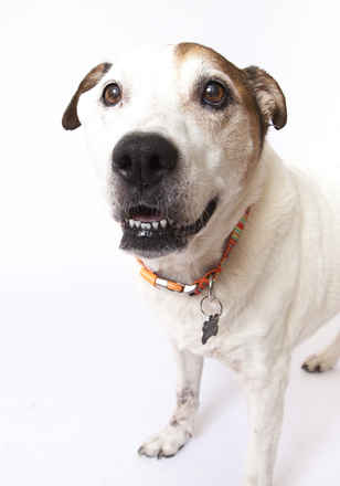 Gus