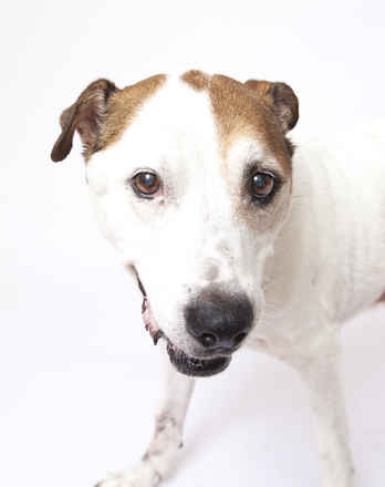Gus