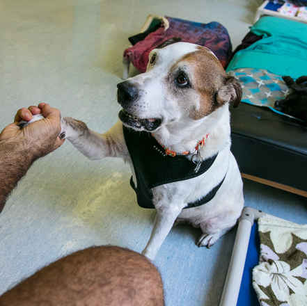 Gus