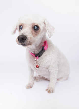 Frannie