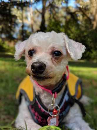 Frannie