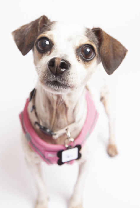 Dulce