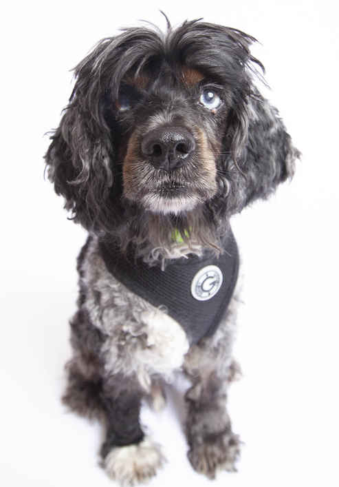 Sinatra