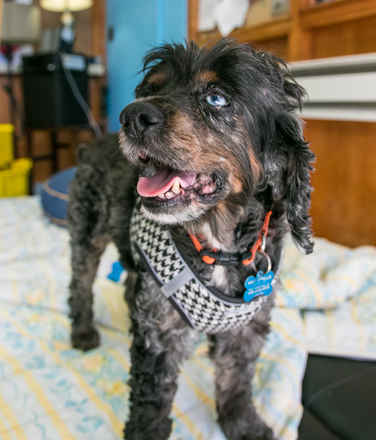 Sinatra
