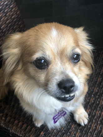 Karen