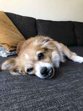 Karen