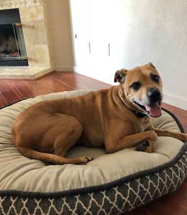 Harvey