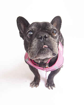 Beatrice
