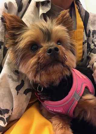 Mitzi