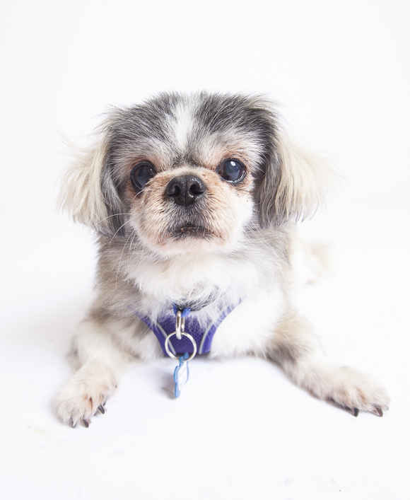 Bonejamin Franklin