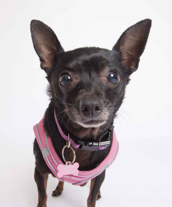 Tasha