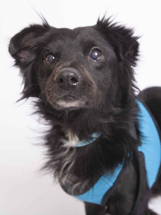 Bandana