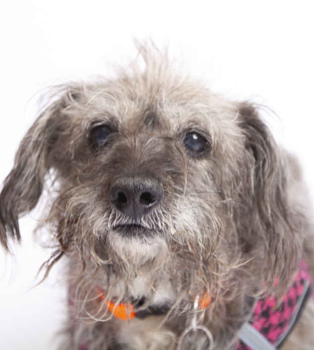 Emmy Lou