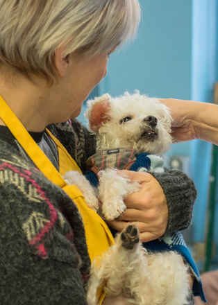 Jimmy Small
