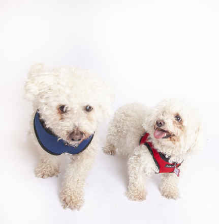 Cloud & Raindrop