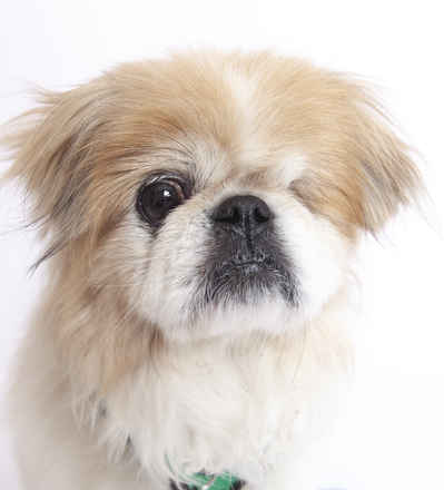 Oliver