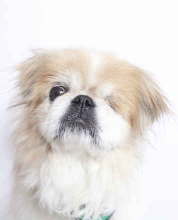 Oliver