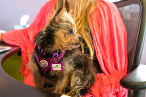 Buffy