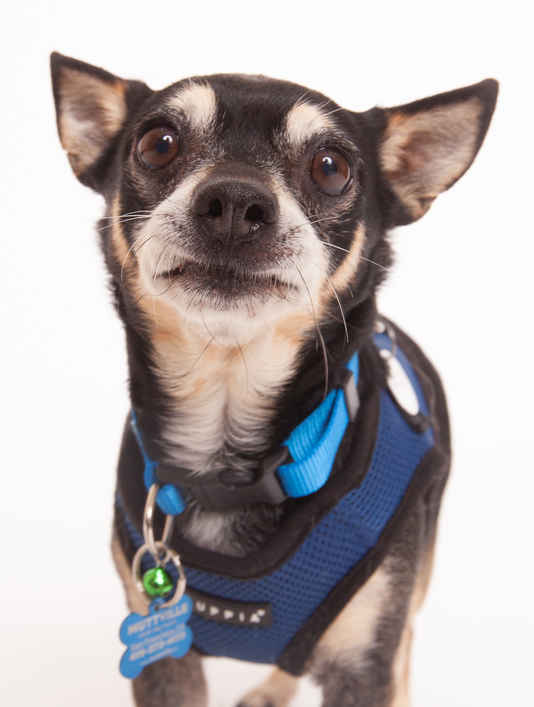 Aldridge