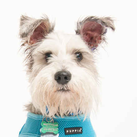 Spokane