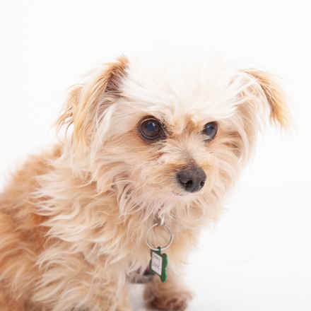 Penny Lane