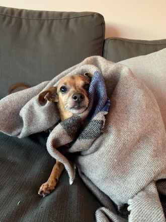 Finnegan