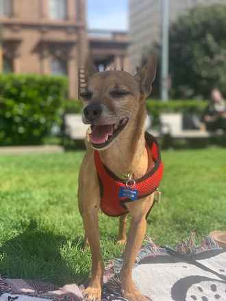 Finnegan
