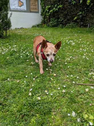 Margo