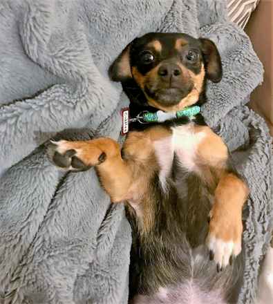 Cuddles