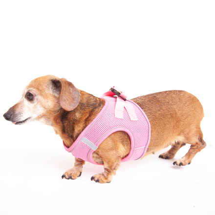 Sigourney Wiener