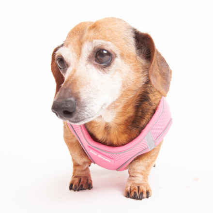 Sigourney Wiener