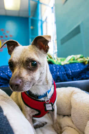 Trucker