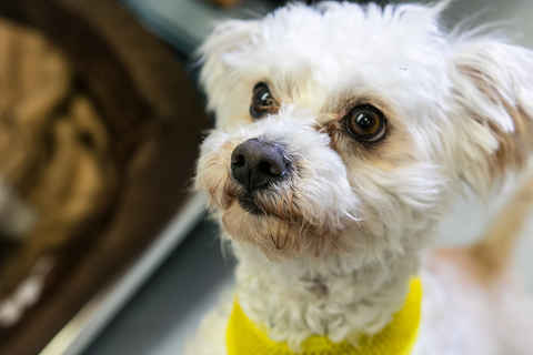 Ernie