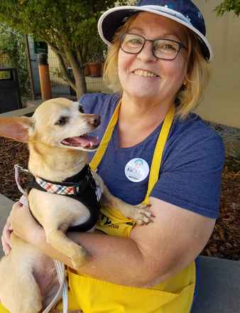 Walker