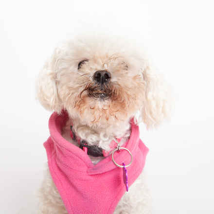 Frannie Lou